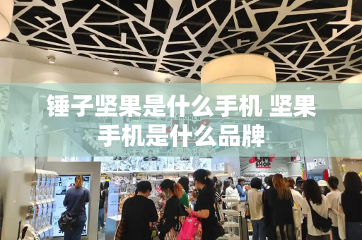 锤子坚果是什么手机 坚果手机是什么品牌