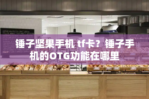 锤子坚果手机 tf卡？锤子手机的OTG功能在哪里-第1张图片-星选测评