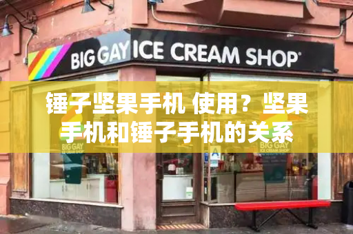 锤子坚果手机 使用？坚果手机和锤子手机的关系-第1张图片-星选测评