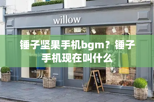 锤子坚果手机bgm？锤子手机现在叫什么-第1张图片-星选测评