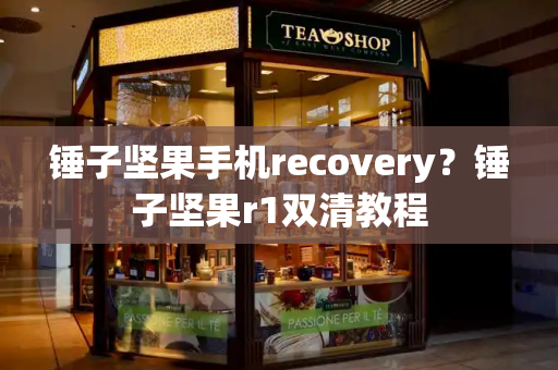 锤子坚果手机recovery？锤子坚果r1双清教程