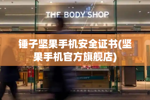 锤子坚果手机安全证书(坚果手机官方旗舰店)-第1张图片-星选测评