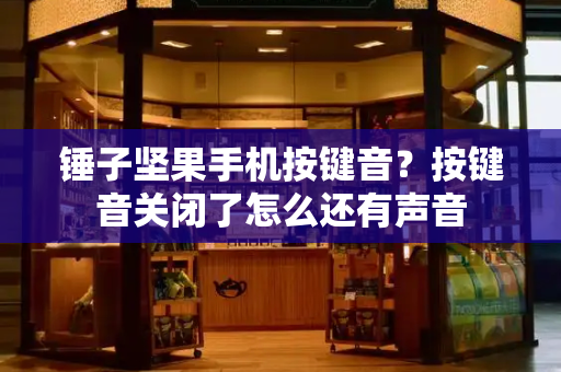 锤子坚果手机按键音？按键音关闭了怎么还有声音-第1张图片-星选测评