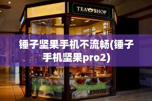 锤子坚果手机不流畅(锤子手机坚果pro2)-第1张图片-星选测评