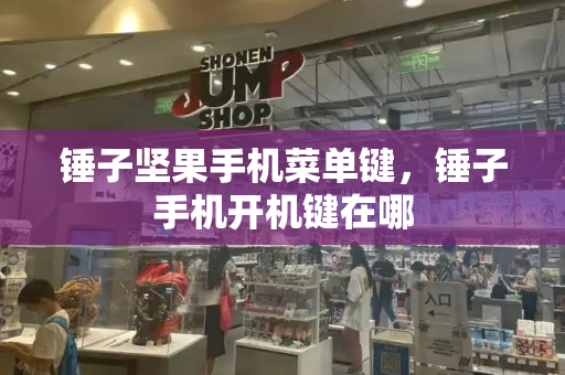 锤子坚果手机菜单键，锤子手机开机键在哪