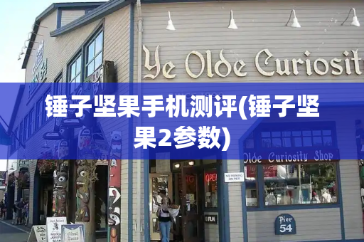 锤子坚果手机测评(锤子坚果2参数)-第1张图片-星选测评