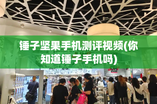 锤子坚果手机测评视频(你知道锤子手机吗)