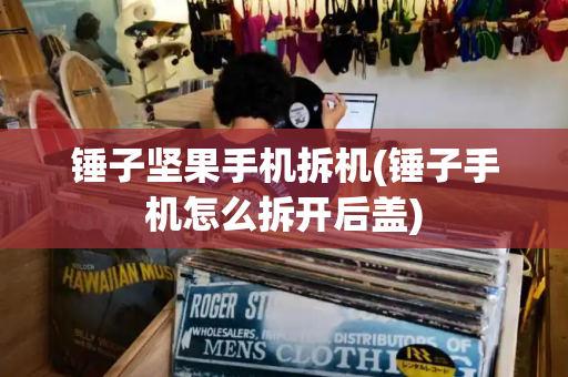 锤子坚果手机拆机(锤子手机怎么拆开后盖)-第1张图片-星选测评