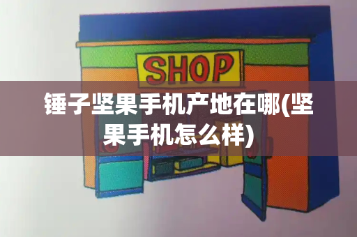 锤子坚果手机产地在哪(坚果手机怎么样)