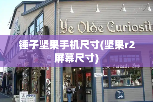 锤子坚果手机尺寸(坚果r2屏幕尺寸)