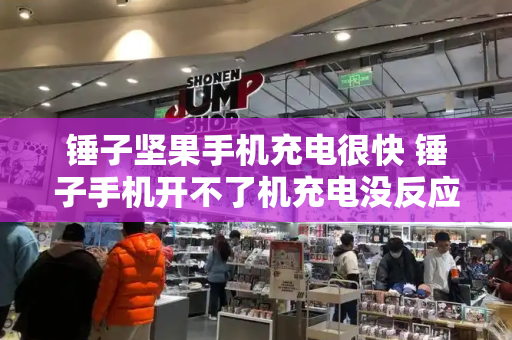 锤子坚果手机充电很快 锤子手机开不了机充电没反应-第1张图片-星选测评
