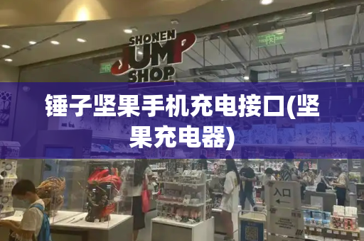 锤子坚果手机充电接口(坚果充电器)