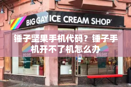 锤子坚果手机代码？锤子手机开不了机怎么办-第1张图片-星选测评