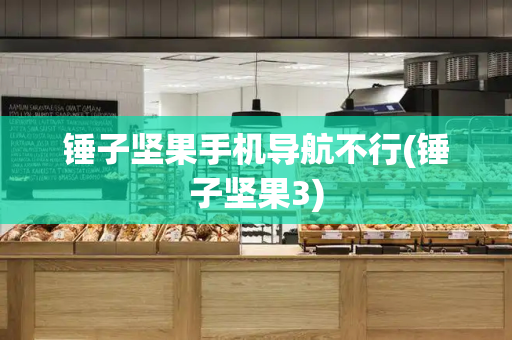 锤子坚果手机导航不行(锤子坚果3)