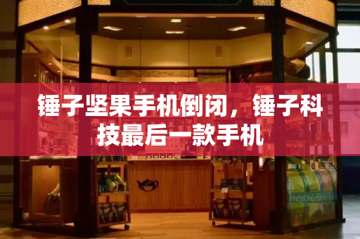 锤子坚果手机倒闭，锤子科技最后一款手机
