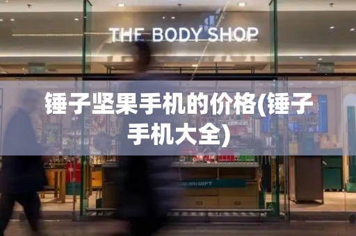 锤子坚果手机的价格(锤子手机大全)
