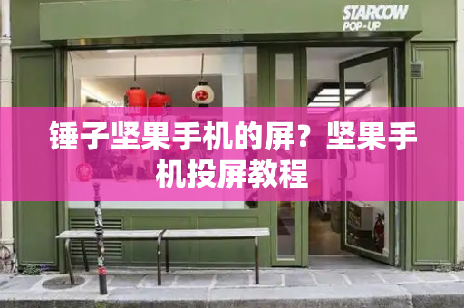 锤子坚果手机的屏？坚果手机投屏教程