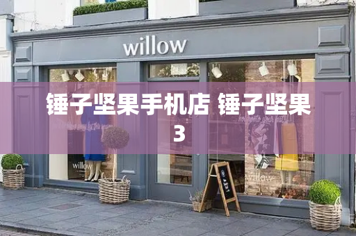 锤子坚果手机店 锤子坚果3