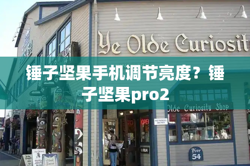 锤子坚果手机调节亮度？锤子坚果pro2-第1张图片-星选测评