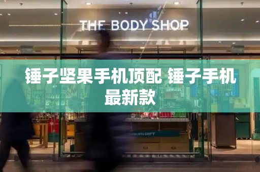 锤子坚果手机顶配 锤子手机最新款