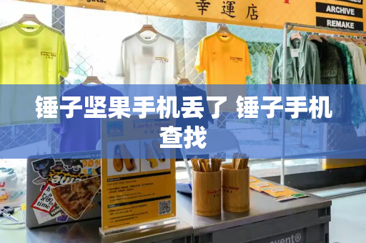 锤子坚果手机丢了 锤子手机查找-第1张图片-星选测评