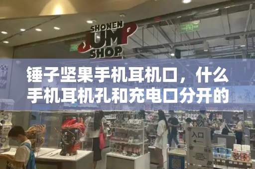 锤子坚果手机耳机口，什么手机耳机孔和充电口分开的