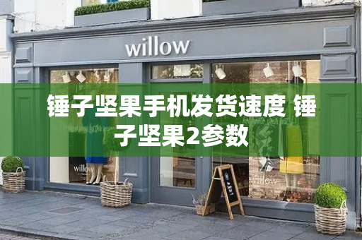 锤子坚果手机发货速度 锤子坚果2参数