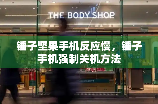 锤子坚果手机反应慢，锤子手机强制关机方法-第1张图片-星选测评