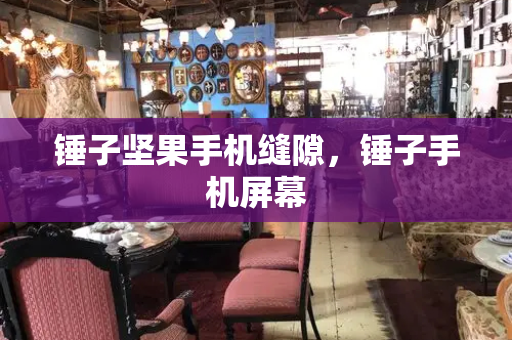 锤子坚果手机缝隙，锤子手机屏幕