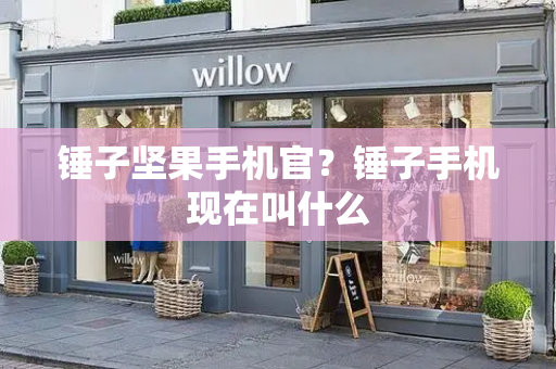 锤子坚果手机官？锤子手机现在叫什么-第1张图片-星选测评