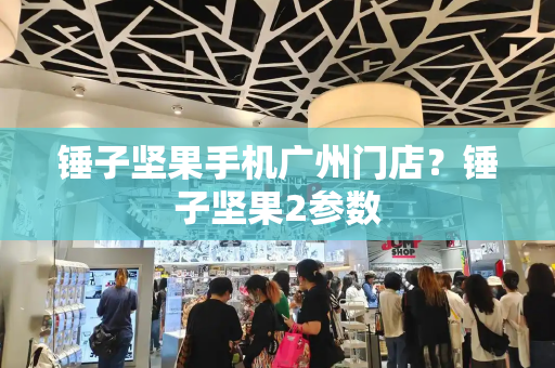 锤子坚果手机广州门店？锤子坚果2参数