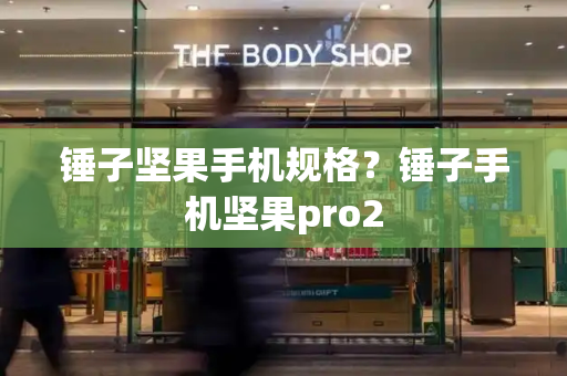 锤子坚果手机规格？锤子手机坚果pro2-第1张图片-星选测评