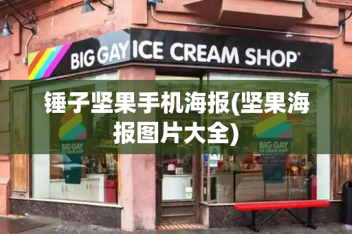 锤子坚果手机海报(坚果海报图片大全)