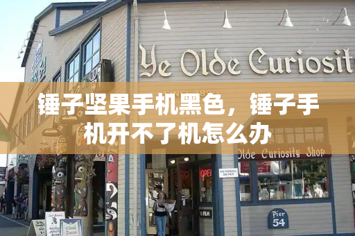 锤子坚果手机黑色，锤子手机开不了机怎么办