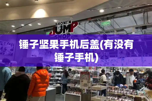 锤子坚果手机后盖(有没有锤子手机)-第1张图片-星选测评