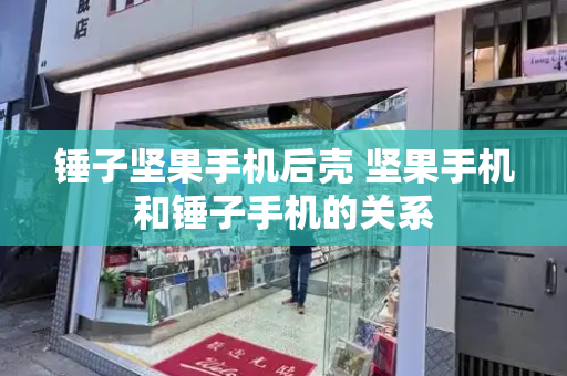 锤子坚果手机后壳 坚果手机和锤子手机的关系-第1张图片-星选测评