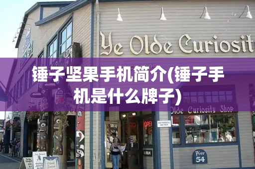 锤子坚果手机简介(锤子手机是什么牌子)