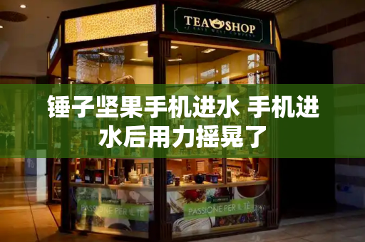 锤子坚果手机进水 手机进水后用力摇晃了