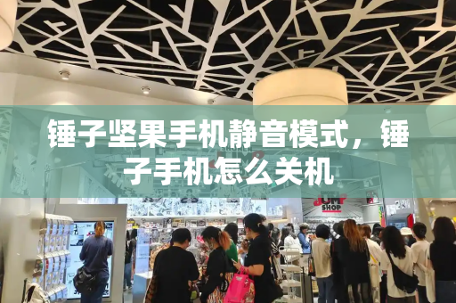 锤子坚果手机静音模式，锤子手机怎么关机
