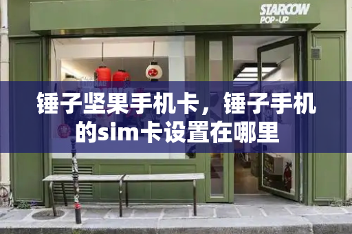 锤子坚果手机卡，锤子手机的sim卡设置在哪里