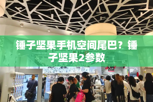 锤子坚果手机空间尾巴？锤子坚果2参数