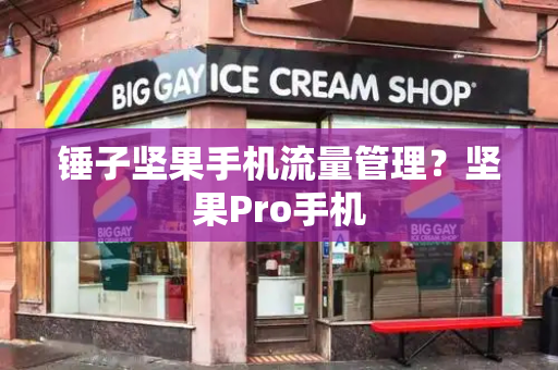 锤子坚果手机流量管理？坚果Pro手机-第1张图片-星选测评