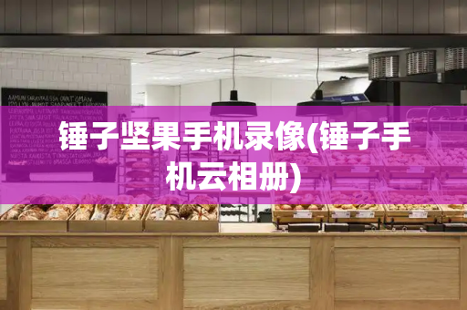 锤子坚果手机录像(锤子手机云相册)-第1张图片-星选测评