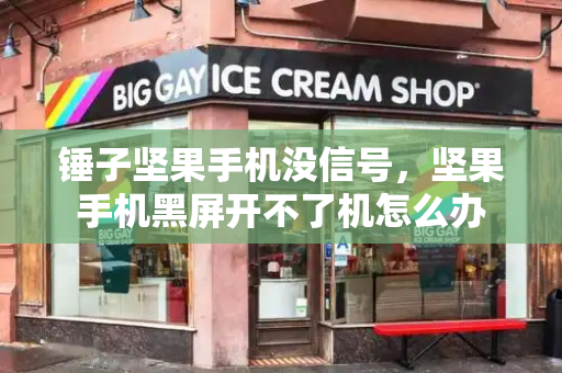 锤子坚果手机没信号，坚果手机黑屏开不了机怎么办-第1张图片-星选测评