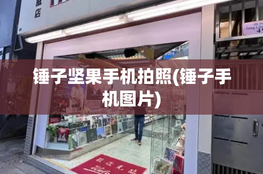 锤子坚果手机拍照(锤子手机图片)