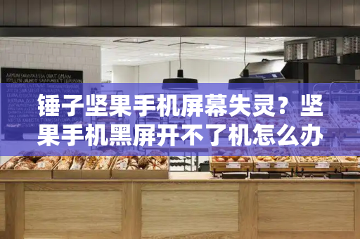 锤子坚果手机屏幕失灵？坚果手机黑屏开不了机怎么办