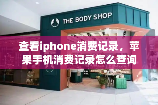 查看iphone消费记录，苹果手机消费记录怎么查询