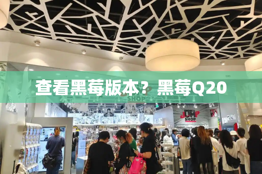 查看黑莓版本？黑莓Q20-第1张图片-星选测评