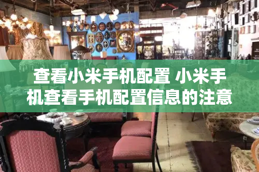 查看小米手机配置 小米手机查看手机配置信息的注意事项-第1张图片-星选测评