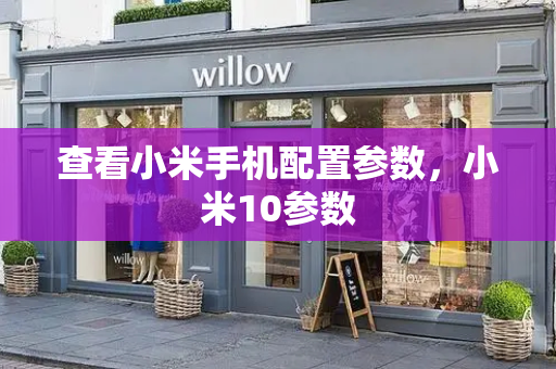 查看小米手机配置参数，小米10参数-第1张图片-星选测评